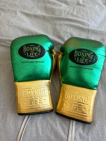No Boxing No Life Professional Boxing Gloves 10oz