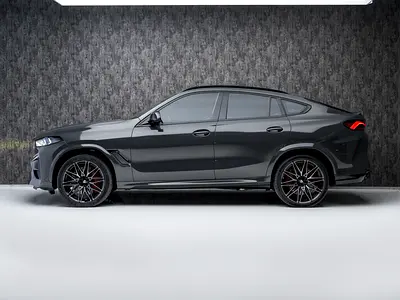 2025 BMW X6 照片 5