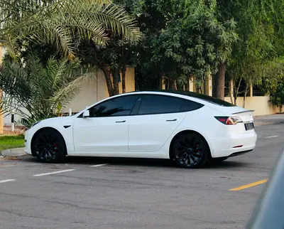 2023 Tesla MODEL 3 照片 5