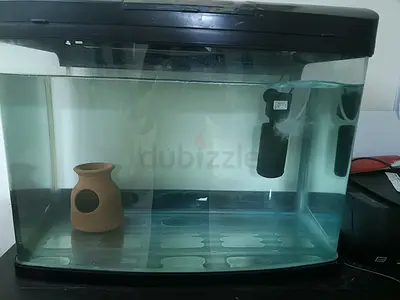 Aquarium with filter