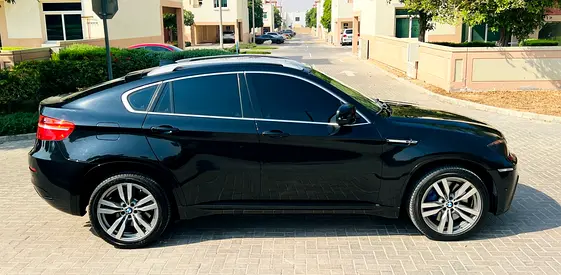 2013 BMW X6 照片 5