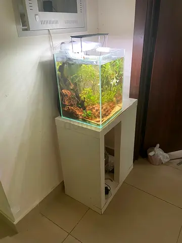 Planted 36L Glass Aquarium with Stand and LED Light