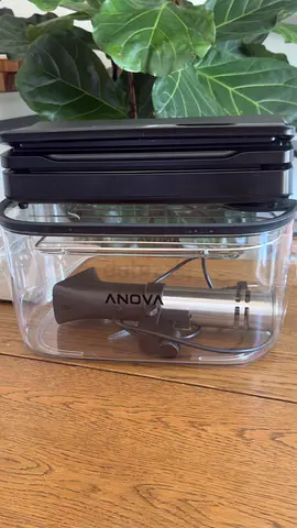 Anova Precision Cooker Immersion Circulator with Vacuum Container - Good Condition