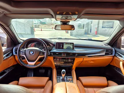2019 BMW X6 照片 10