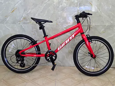 Giant ARX 20 inch kids bike