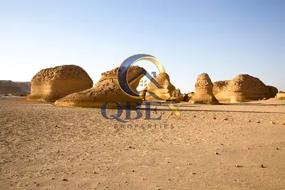 Industrial Plot for Sale in Umm Al Quwain | Freehold Ownership