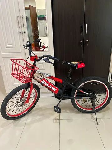 Used Kids Bicycle with Basket – Red & Black Anime Design 🚲