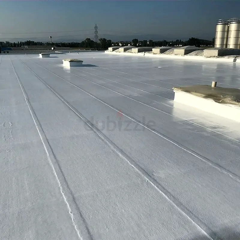 DPV_View_Image_3