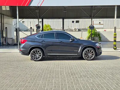 2019 BMW X6 照片 4