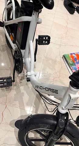 Electric+Manual Foldable Windhorse Cycle