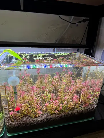 Aquarium