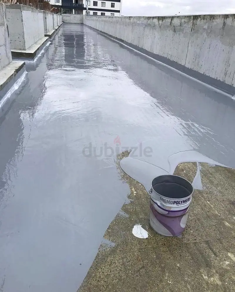 DPV_View_Image_2