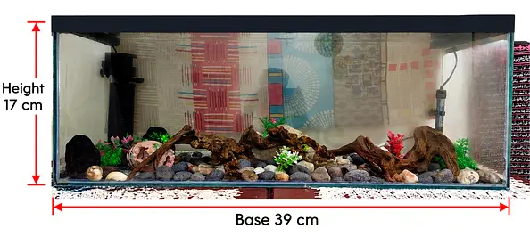 Customised Aquarium 39cm x 17cm Glass Aquarium Tank with Accessories
