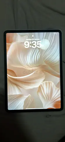 iPad Pro 11-inch (Wi‑Fi)