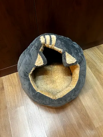 Cat bed missing cushion