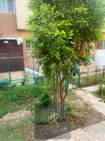 Villa for Rent in Sharqan