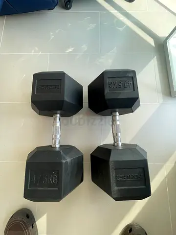 47.5Kg rubber dumbell