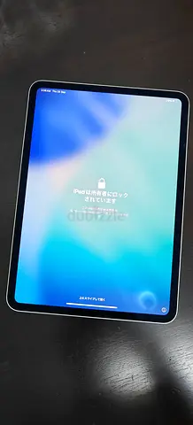 Ipad pro M4 11 inch icloud locked
