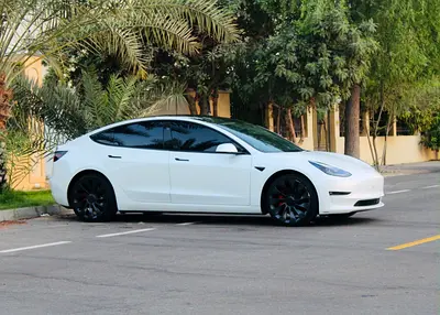 2023 Tesla MODEL 3 照片 3