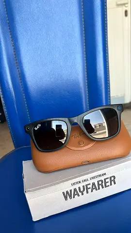 Ray-Ban Wayfarer sunglasses with case - black frame