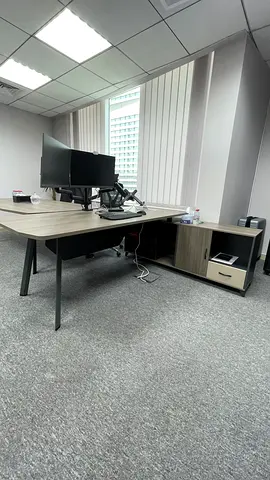 🔥 DUAL MONITOR ARM 🔥