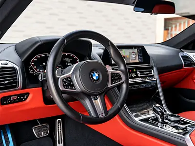 2021 BMW 8-SERIES 缩略图 9