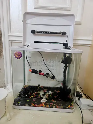 Aquarium
