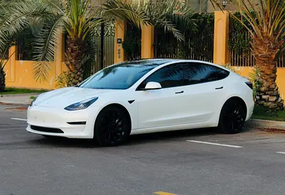 2023 Tesla MODEL 3 照片 7