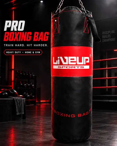 Boxing bag for sale