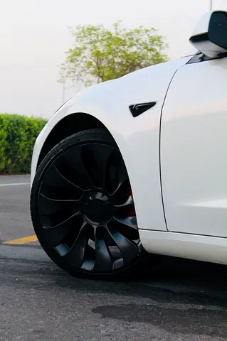 2023 Tesla MODEL 3 照片 6