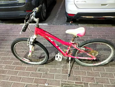 *Fuji Girls Bike 24 Inch - Good Condition*