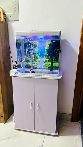 Aquarium and stand