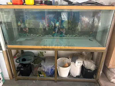 Aquarium