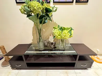Tv bench