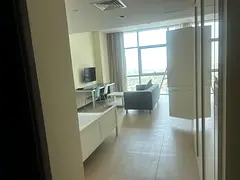Furnished studio opp metro