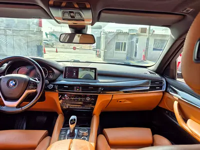 2019 BMW X6 照片 9