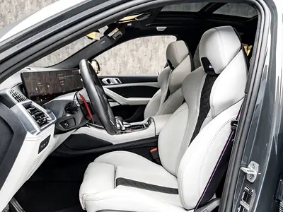 2025 BMW X6 照片 10