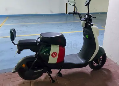 Two Seaters E - Bike Scooter