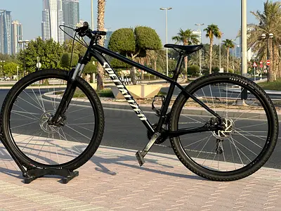 Specialized rockhoper/29(M)
