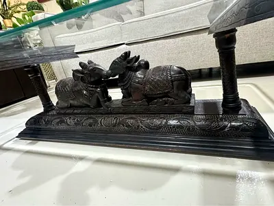 Nandi Bulls Coffee Table