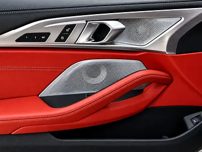 2021 BMW 8-SERIES 缩略图 19