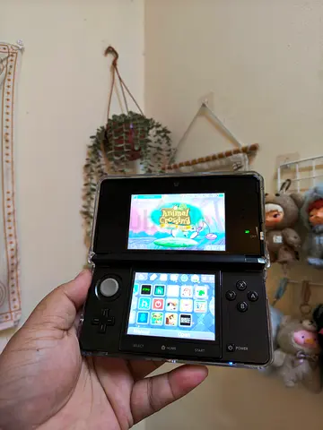 Nintendo 3DS