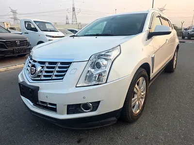 2013 Cadillac SRX 照片 1