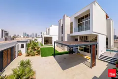 Rare Single Row | Double Sikka | HighEnd Finishes