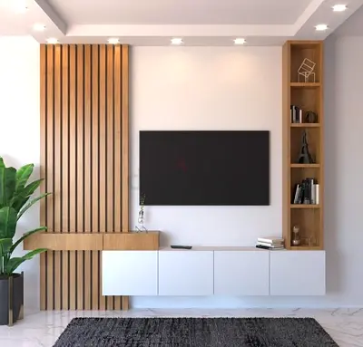 entertainment unit