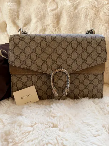 Gucci bag