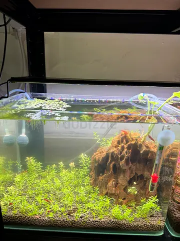 Aquarium