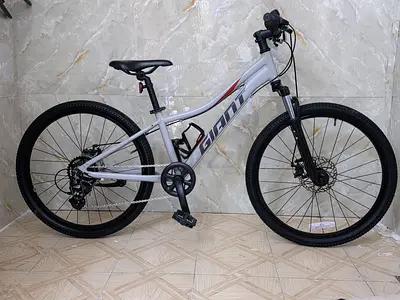 Gaint xtc 24 inch kids size good for height