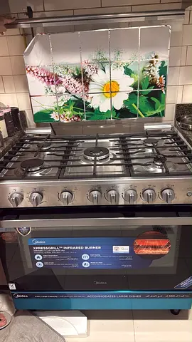 6-Burner Gas Range with Oven - Stainless Steel, Large Capacity