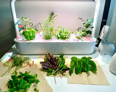 Click & Grow Smart Garden 9 – 40% OFF Retail Price